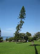 IMG_2325